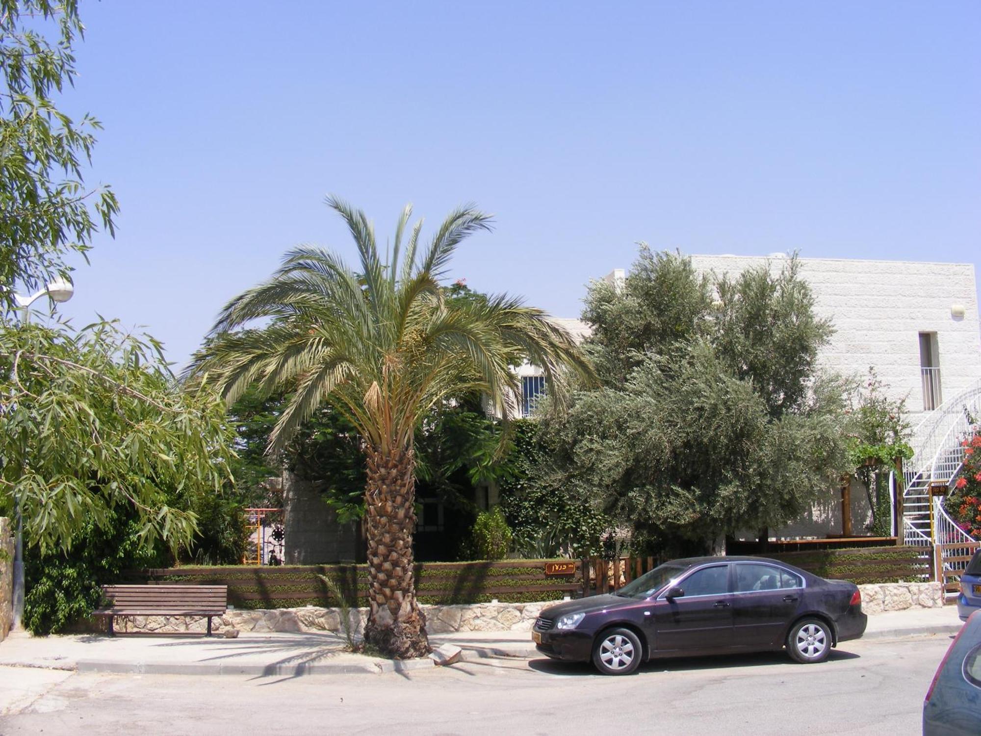 فندق نوف كنعان Kfar Adumim المظهر الخارجي الصورة
