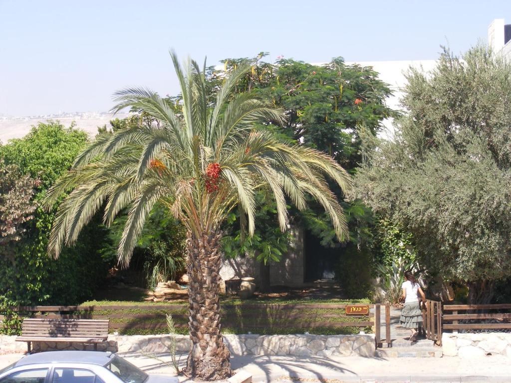 فندق نوف كنعان Kfar Adumim المظهر الخارجي الصورة